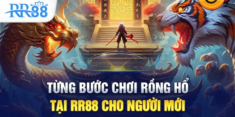 Từng bước chơi Rồng Hổ tại RR88 cho người mới